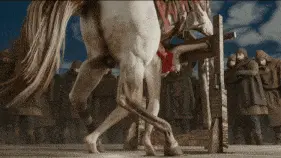 6ac50968775e02.86932663.gif